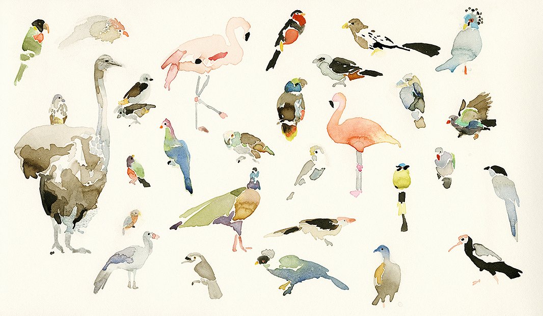 Bird Chart, “a crisp, bright watercolor” depicting birds at the Houston Zoo, is another of Mary’s favorite pieces.
