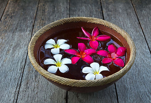 Image result for flower in a bowl