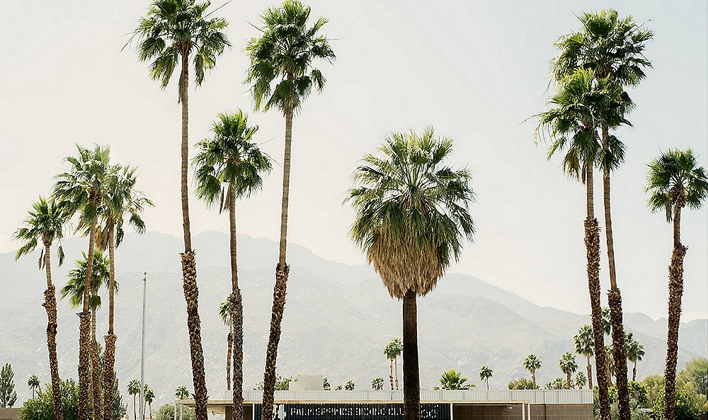 Christine Flynn's Mid-Century Modern Palm Springs