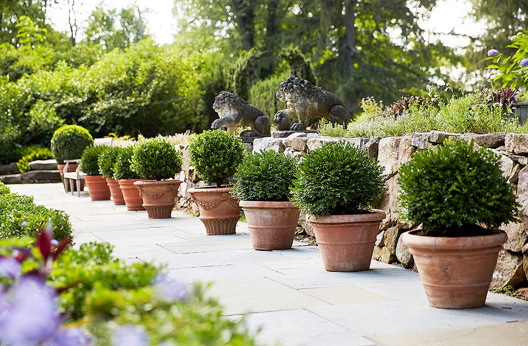 Manicured rows of terracotta planters line the stone paths, while a pair of antique ornamental garden lions stand guard.
