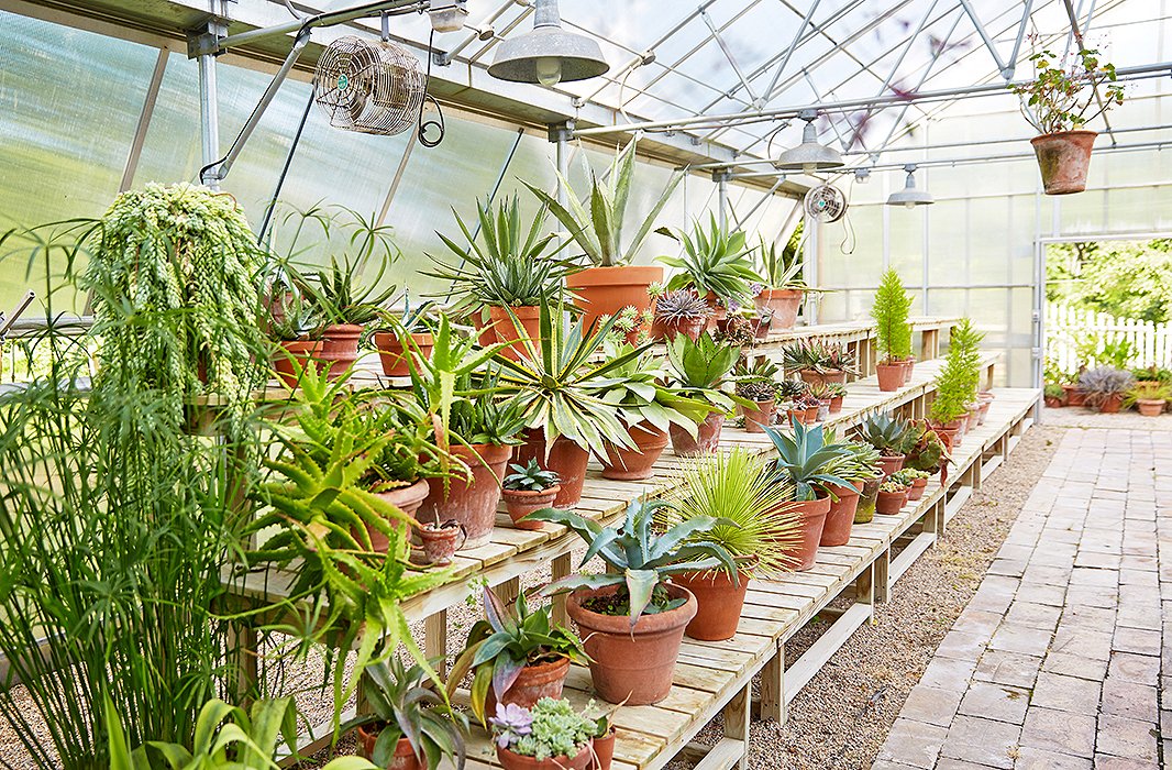 “I think of this as the intellectual side of the garden—a place to try something new, to get my hands dirty while I experiment,” writes Bunny in her book. She gleefully spends hours in the greenhouse year-round; even during the cold months it’s scented with jasmine and orange blossoms.
