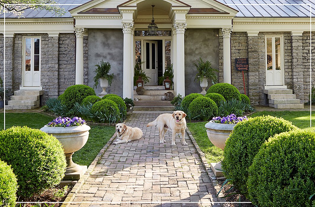 Jon’s Labs, Gertrude Fisher and Lily Carloftis, keep watch over their home, Historic Botherum.
