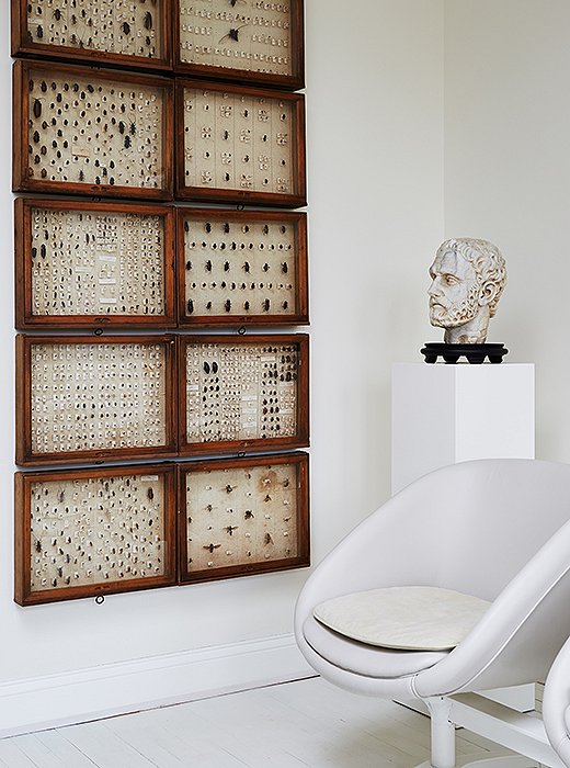 A 19th-century insect collection reflects Darryl’s philosophy for embracing the unusual and the timeless: “I would encourage anyone to be confident and buy things that they like that will withstand the test of time.”
