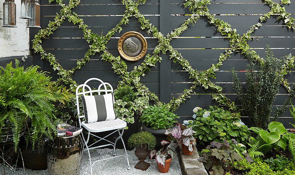 An Insanely Chic (and Simple!) Garden Trellis DIY