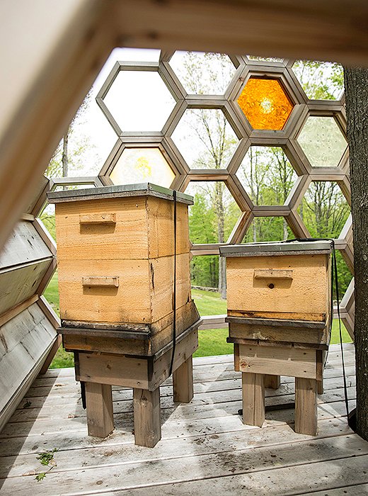 Not only is the elevated bee house an intriguing focal point, it also keeps the hives safe from bears.
