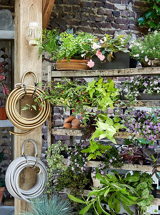 Amanda sources many of her plants from Jim Glover, of Glover Perennials, which supplied many of the plants for New York’s High Line. She tries, whenever she can, to offer plants native to New York and the larger Northeast area.
