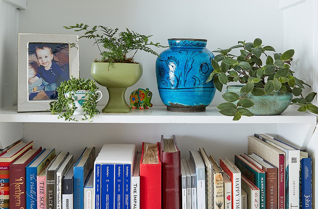 Bookshelf Styling With Plants 