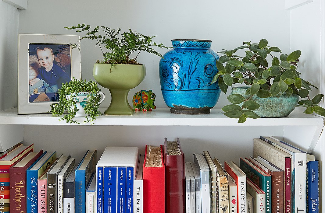 A rabbit’s foot fern and a trailing foliage plant called baby bunny bellies (which should be a children’s book) now live in the bookshelf, along with sedum placed in a teacup.
 
