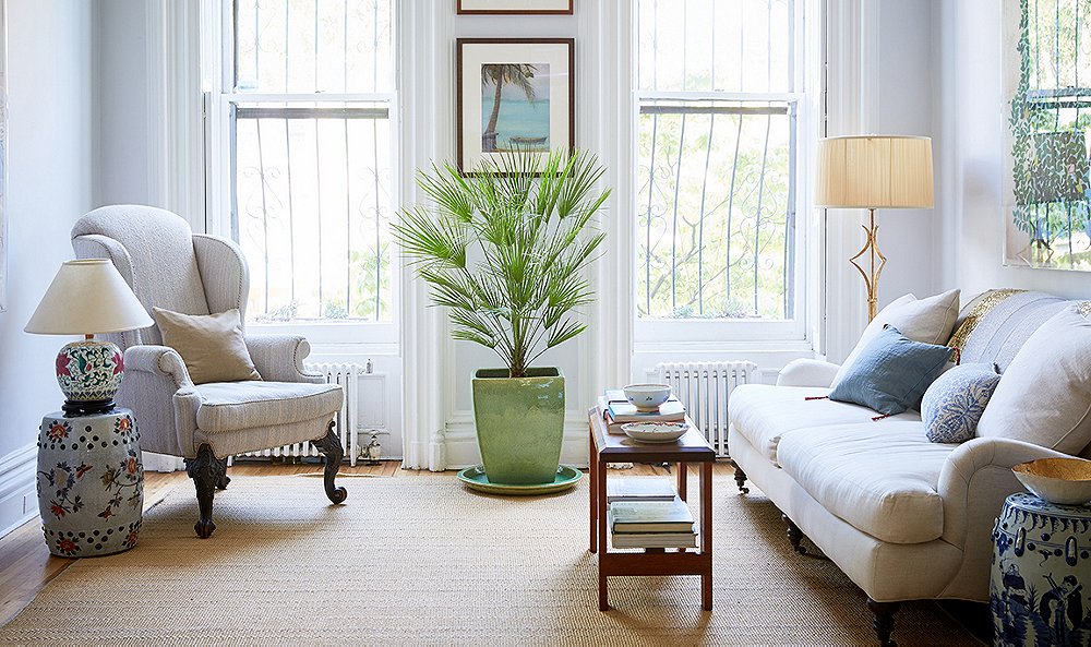 indoor plants living room