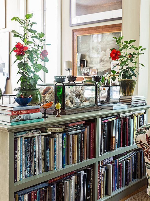 The author describes her less formal living space, which incorporates her office, as “sort of vagabond/World of Interiors. It is layered to the teeth. I’ve got all the crazy things I’ve collected on my travels from African baskets and birds’ nests to suzanis I bought in Kabul and lots of pieces of French faience pottery. There are seashells and tortoiseshells, avian taxidermy, and lots of maps, books, and photographs taken by friends—mostly of the natural world.”
