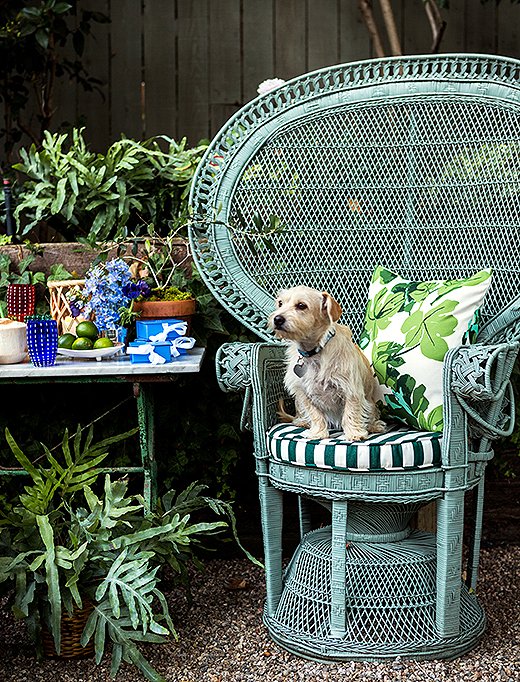 Rebecca’s dog, Luna, surveys the party prep from a wicker peacock chair.
