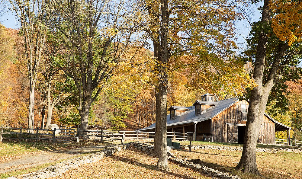 Inside a Beloved Designer’s Rustic, Family-Friendly Alpaca Farm