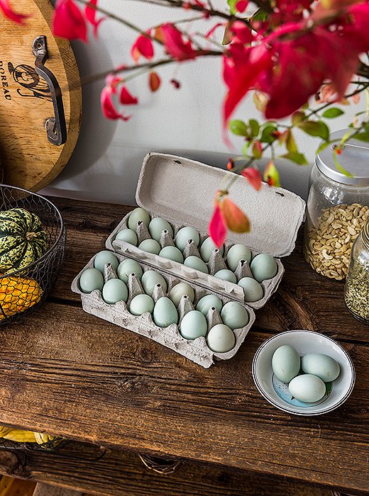 The children collect eggs from the farm’s chickens and sell them nearby. “They’re little entrepreneurs,” says the proud mom.
