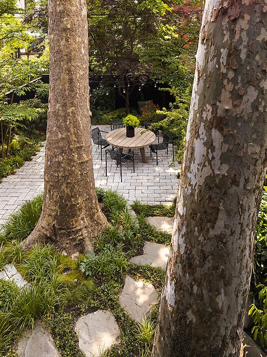 The true showstoppers of the garden are the pair of London plane trees, which Olivia believes are more than a century old. When she and the team at Brook Landscape were designing the backyard, the trees served as their guiding lights.
