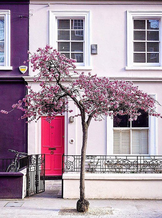 In London, spring is well on its way. Photo courtesy of @a_ontheroad.
