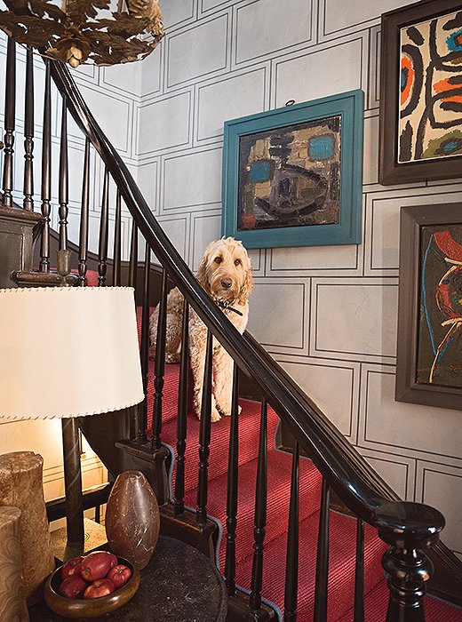 Sailor the labradoodle poses on the staircase of designer Stephen Gambrel’s NYC town house. “It is covered in red sisal, which is good for traction and not too precious for muddy paws,” notes Susanna.
