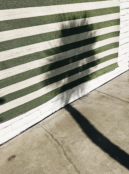 An outdoor rug in shades of palm-tree green.
