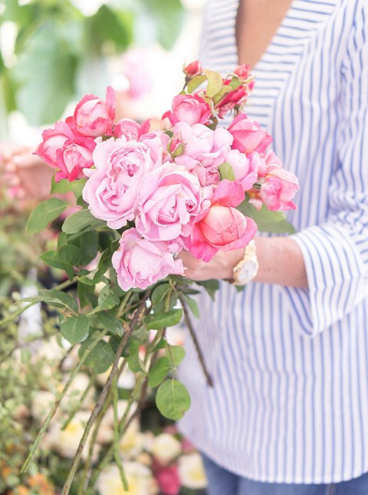 Garden roses are a farmers’-market staple.
