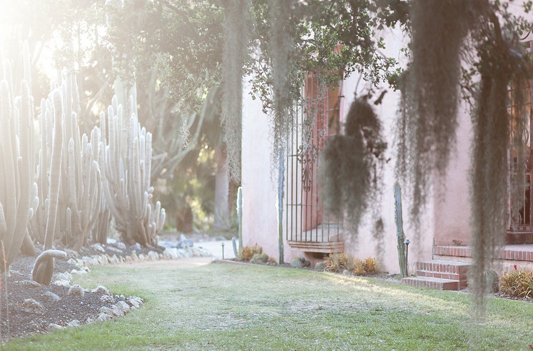 The gardens at Lotusland.
