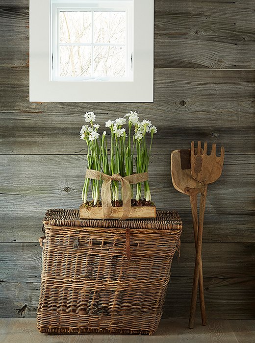 Charmingly rustic vignettes—like paperwhites atop an antique basket—are a GrayBarns signature.
