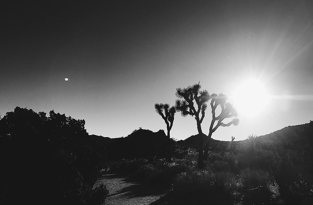 A glimpse of the stark vistas at Joshua Tree is well worth the two-hour drive from downtown Palm Springs.
