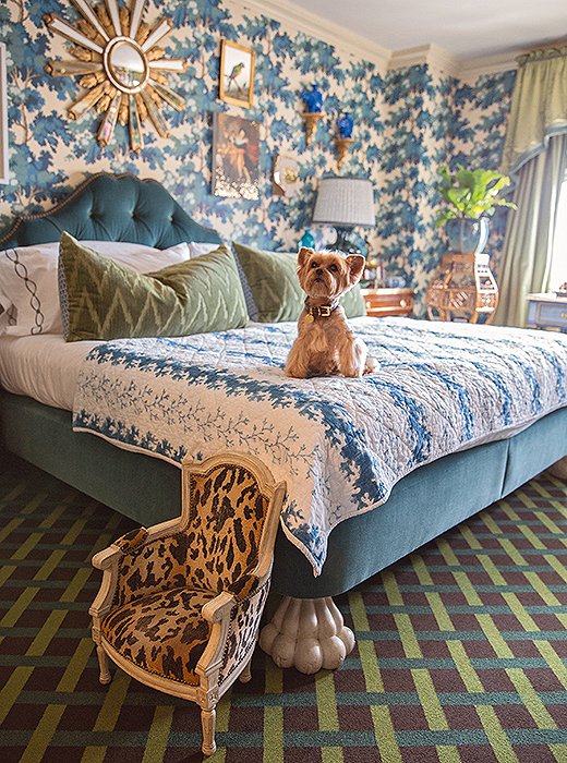 Writes designer Alex Papachristidis of his beloved Yorkie, “Teddy is much loved and pampered by my partner, Scott Nelson, a stylish accessories designer, and me—he is a most important part of our household.”
