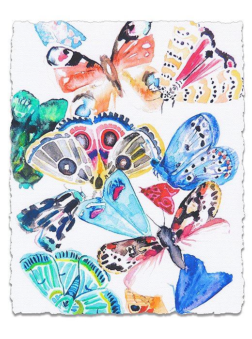 Butterflies I by Hayley Mitchell.
