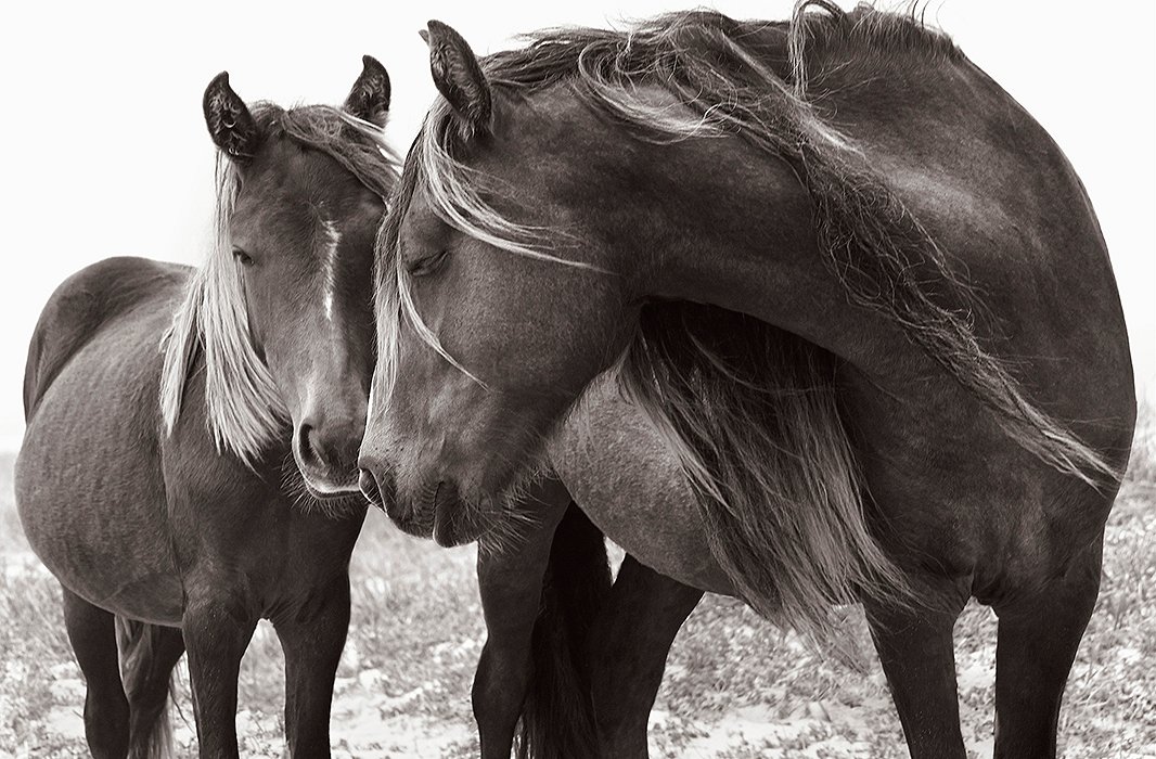 Photo: Breathless Love, by Drew Doggett
