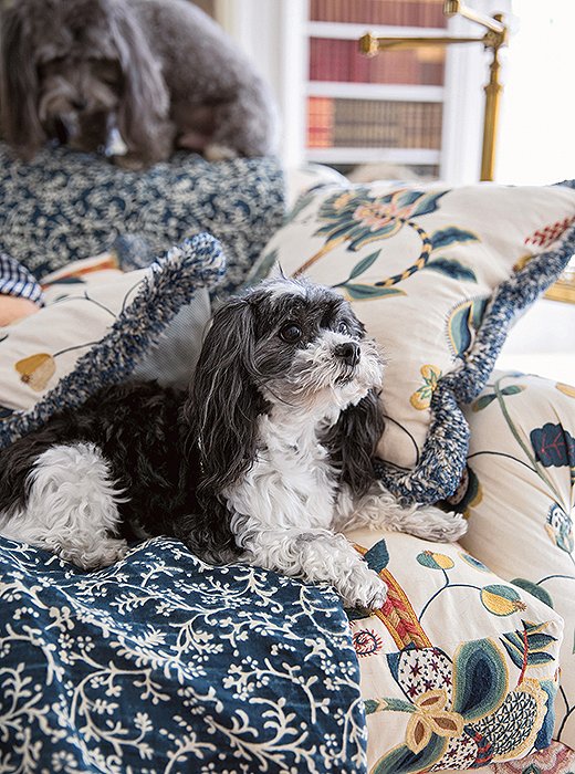Carolyne Roehm has six beloved pups—and they can do no wrong. “Things I would not easily forgive in a human—such as gnawing on the carved stretcher of a signed piece of 18th-century furniture (I know humans don’t exactly do that, but you get my drift)—I forgive in my dogs,” she writes.
