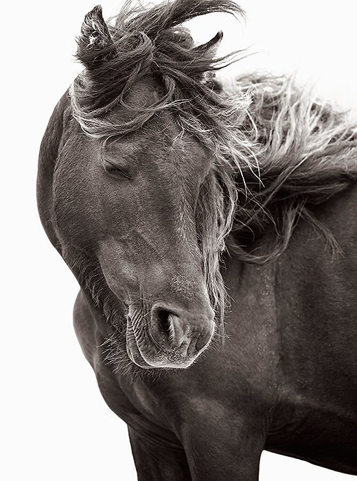 Phot0: Breathless, by Drew Doggett
