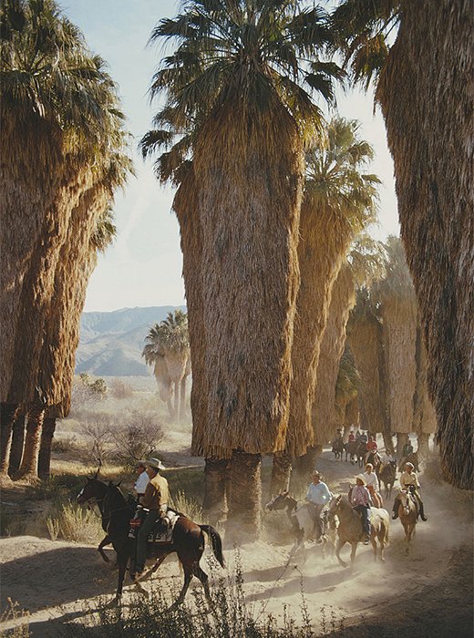 Palm Springs Riders by Slim Aarons.
