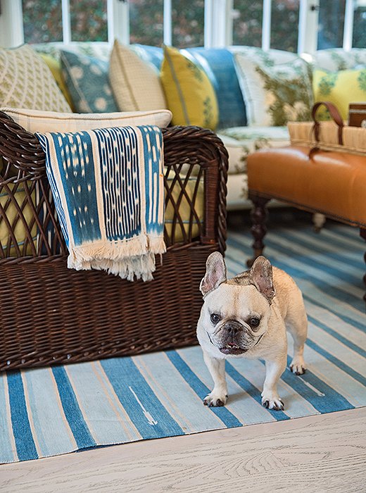 “I like to say our house is really Lily’s house and she just lets us live there too,” writes designer Mark D. Sikes of his beloved Frenchie. An abundance of rugs, such as this antique dhurrie, help keep Lily from slipping on the home’s hardwood floors.
