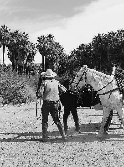 From Indian Canyons to Joshua Tree National Park, the area offers plenty to please outdoorsy types. After your hike, cool off by the pool back in town.
