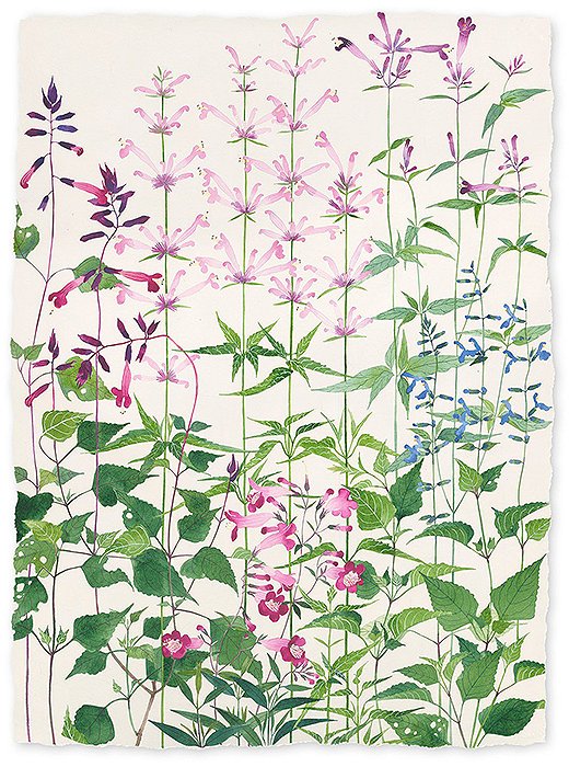 The floral and colourful watercolours by Gabby Malpas - Arches Papers