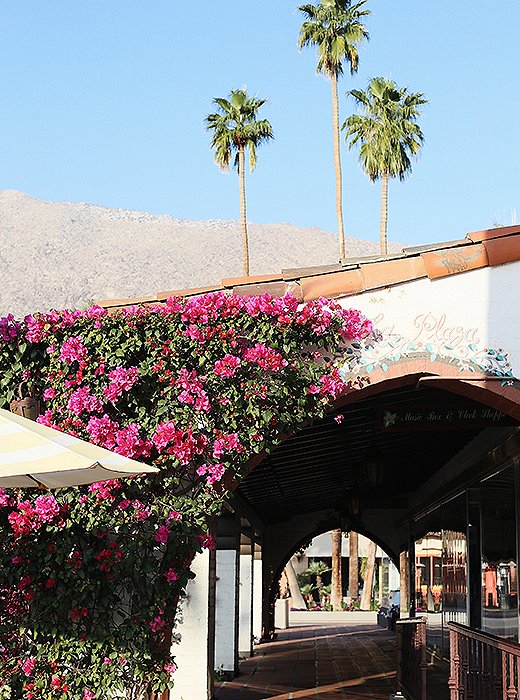 Archways laced with bougainvilleas line the downtown streets.
