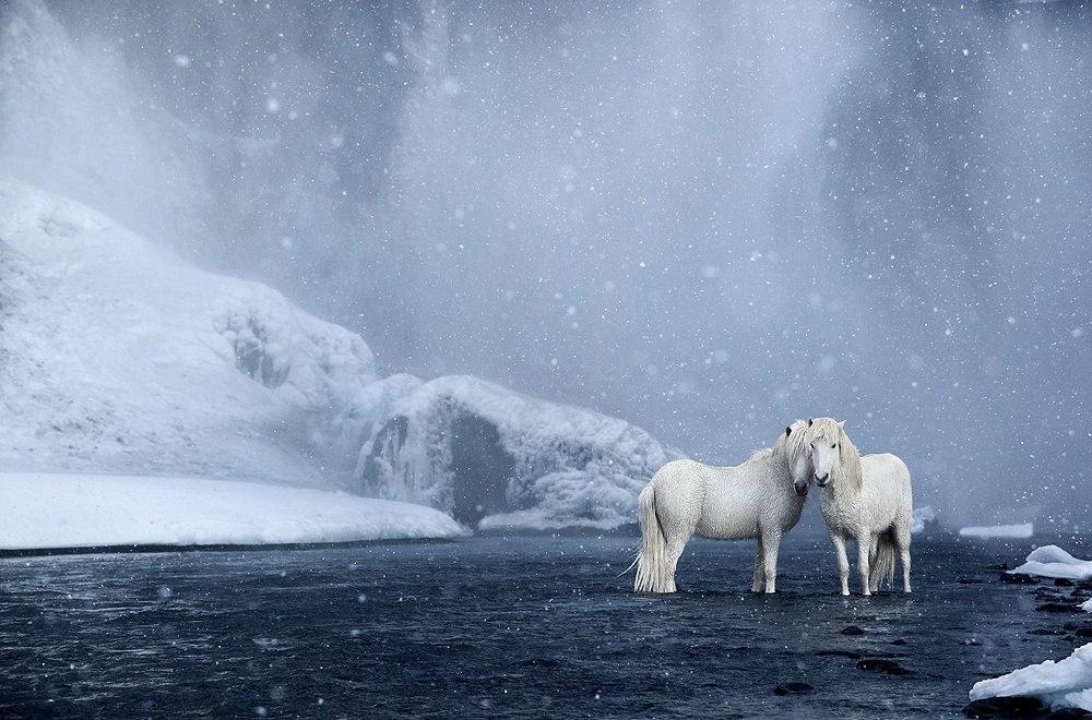 Photographer Drew Doggett On His Magical New Series