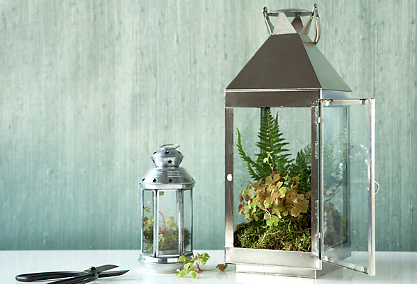 LANTERN_TERRARIUM_LLH_Obsessions