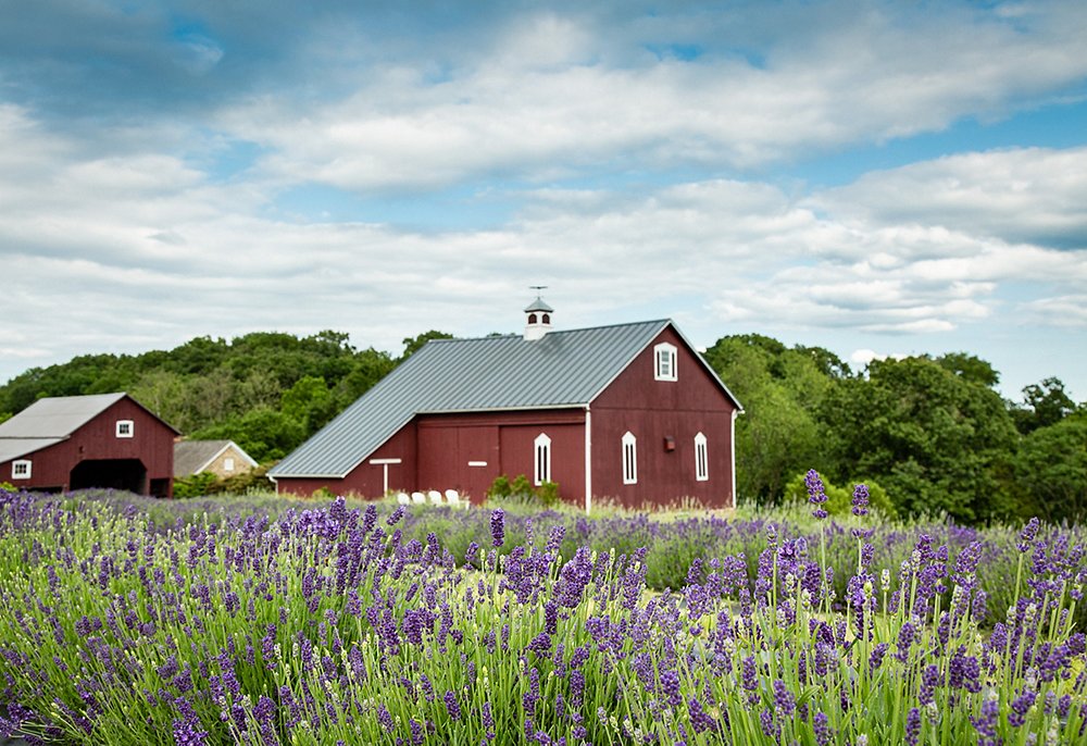 Bucolic Bliss