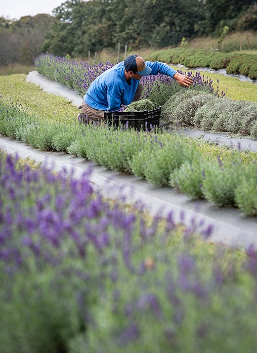 Helen’s son Peter came home after spending time in Portland to work on the family farm. His sustainable farming practices have helped make Star Bright Farm what it is today.
