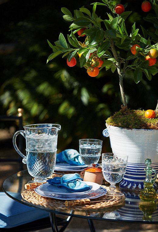 A small potted citrus tree—set in a colorful planter and topped with moss—makes a chic and unexpected centerpiece.
