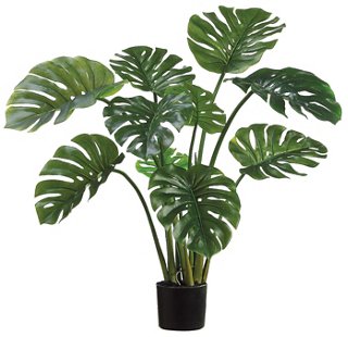 39" Split Philodendron w/ Planter, Faux | One Kings Lane
