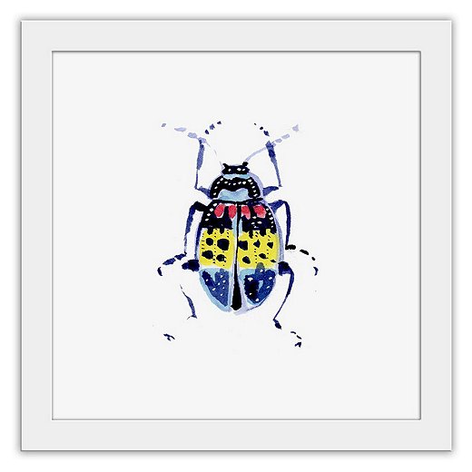 Cathy’s paintings of insects, such as this one of a beetle, capture all of their beauty (and none of any perceived “ick” factor).
