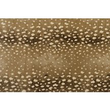 Contemporary Header Image