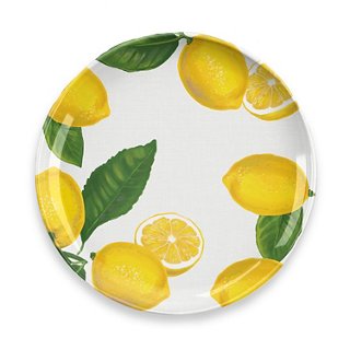 S/6 Lemon-Fresh Melamine Dinner Plate, Multi | One Kings Lane