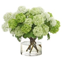 Home Accents Header Image