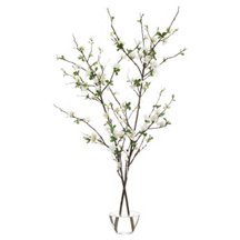 Floral & Greenery Header Image