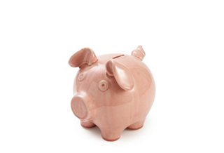 Ceramic Pig Bank