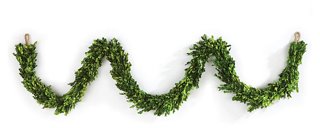 Boxwood Preserved Garland - Green - Napa Home