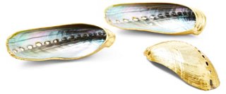 Set of 3 Rose-Gold-Plated Abalone Shells