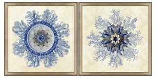 Navy Jellyfish Diptych